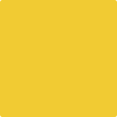 343-Sunrays: a paint color by Benjamin Moore avaiable at Clement's Paint in Austin, TX.