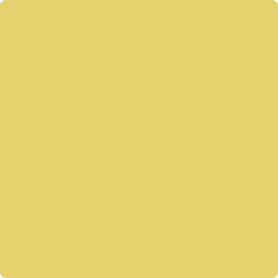 370-Yellow: Tone a paint color by Benjamin Moore avaiable at Clement's Paint in Austin, TX.