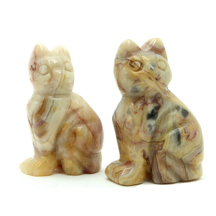 Crazy Lace Agate Cat