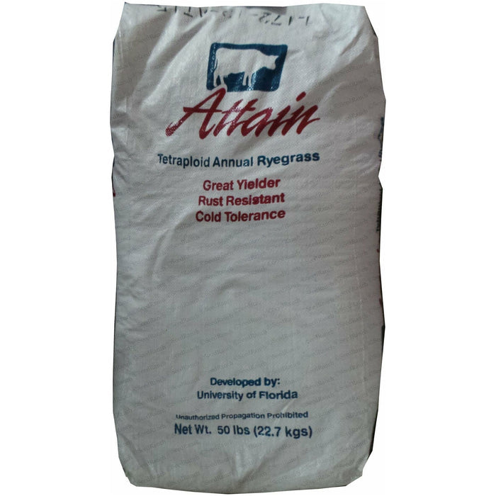 Attain Tetraploid Pasture Ryegrass Seed - Seed World