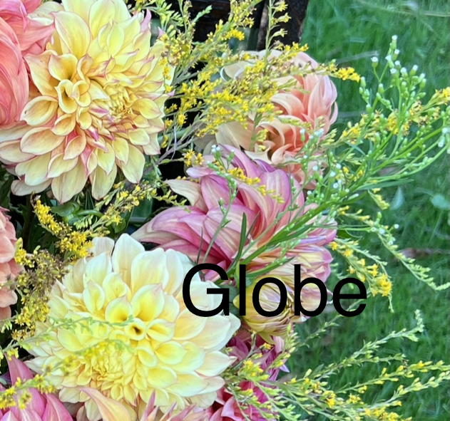 Bloomquist Globe