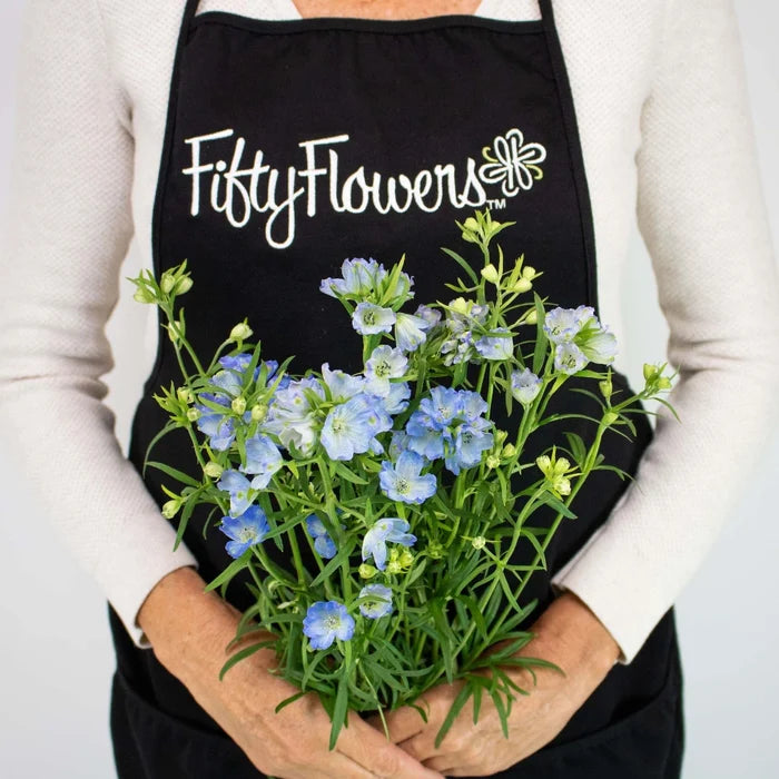 Blue Garden Delphinium Wholesale Flower Bunch in Hand