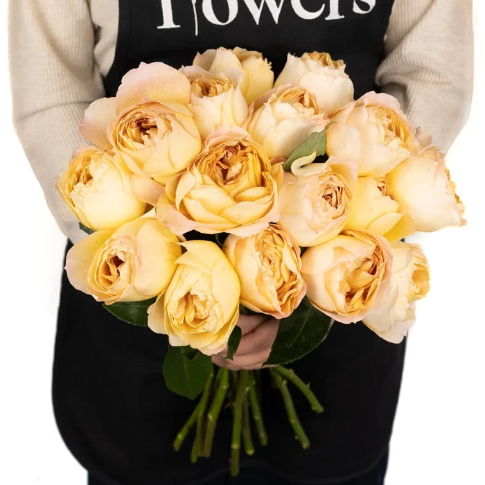 Caramel Antique Garden Rose Apron - Image