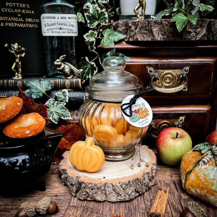 Haunted Harvest Wax Melts Jar - Pumpkin Clove