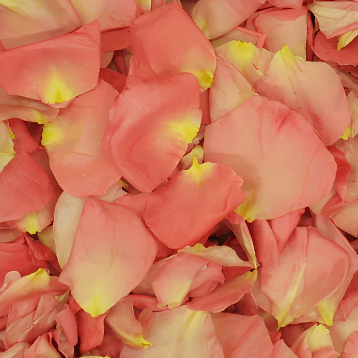Pink Dried Rose Pedals