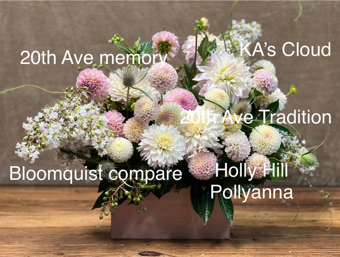 20th Ave. Tradition