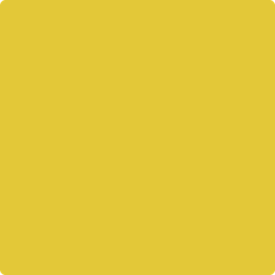 357-Yellow: Hibiscus  a paint color by Benjamin Moore avaiable at Clement's Paint in Austin, TX.