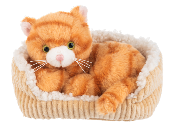 7" Snugglen Snooze Kitten