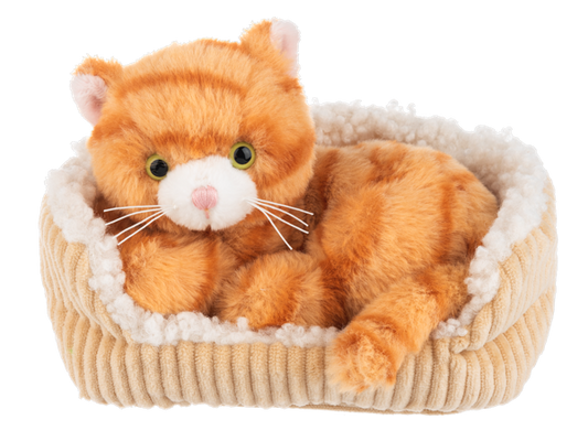 7" Snugglen Snooze Kitten