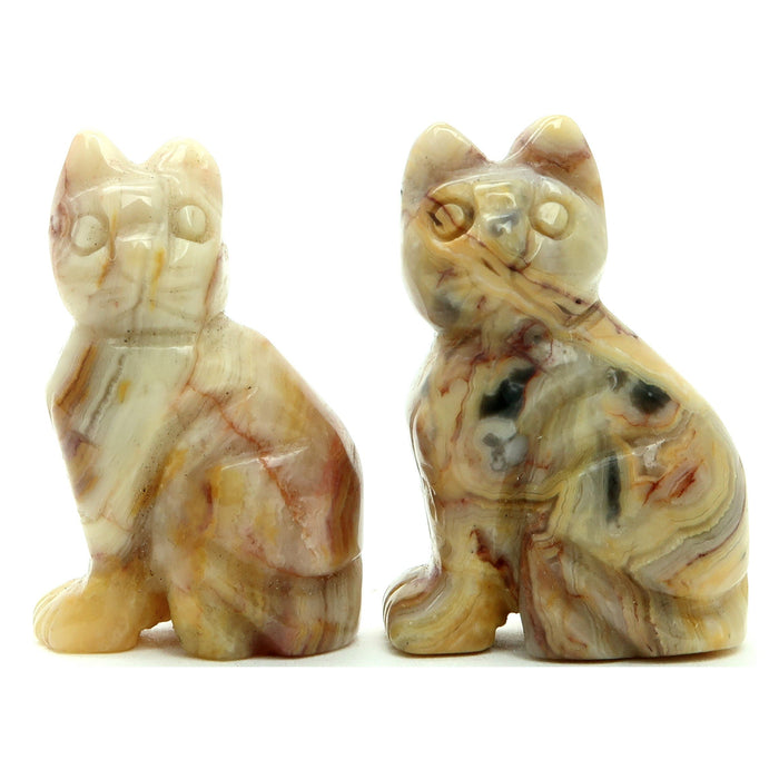 Crazy Lace Agate Cat