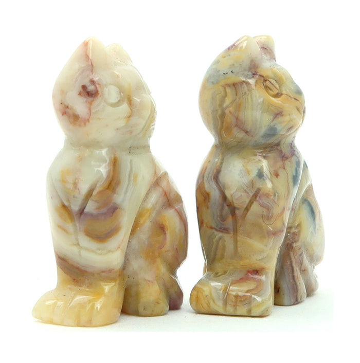 Crazy Lace Agate Cat