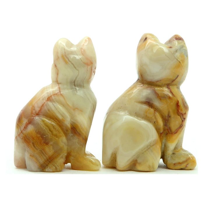 Crazy Lace Agate Cat