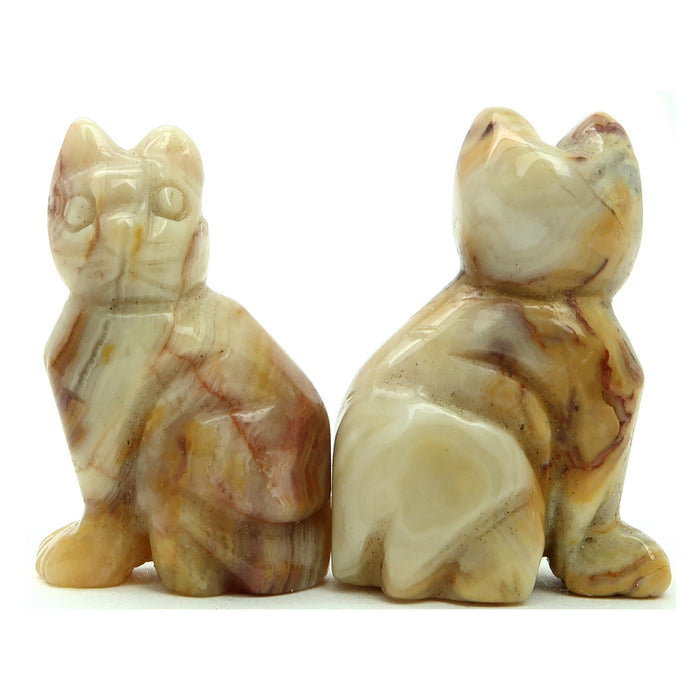 Crazy Lace Agate Cat