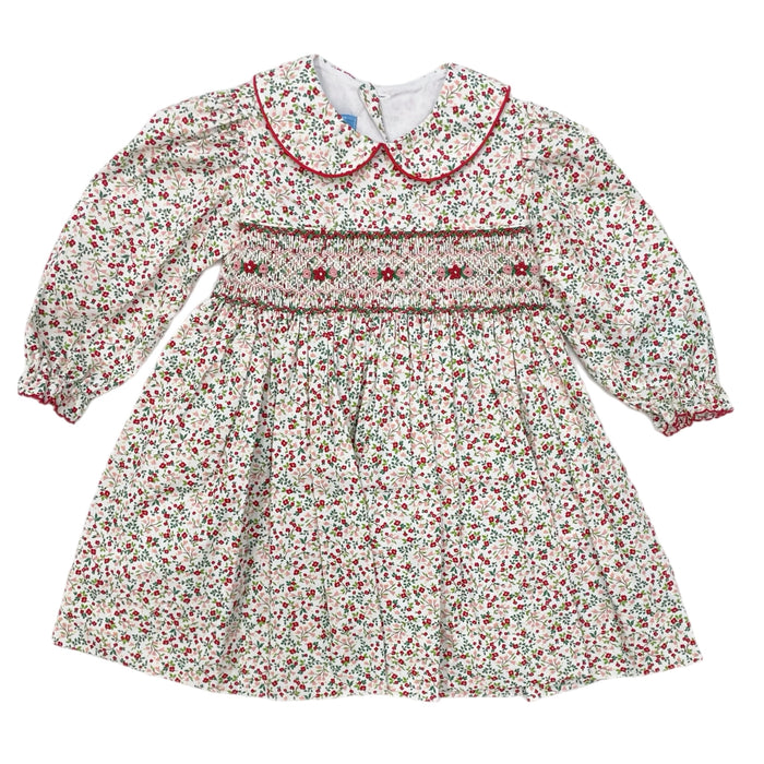 Anavini Red & Pink Holiday Liberty Print Float w/ Collar