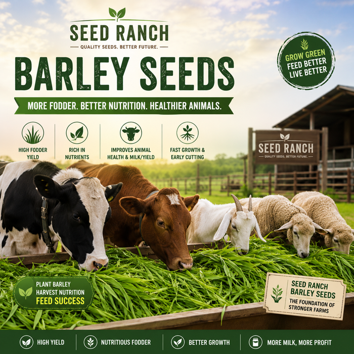 Seed Ranch Atlantic Barley Seed - Seed World