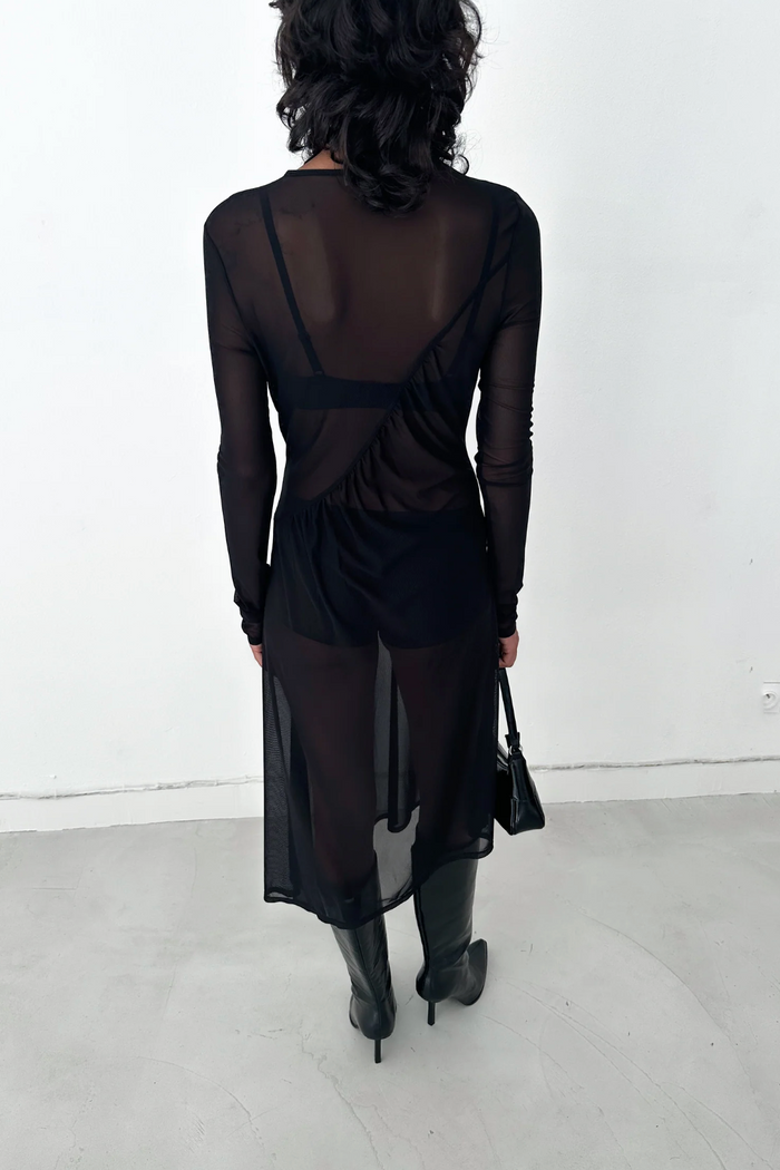 Black Rue Sheer Mesh Dress