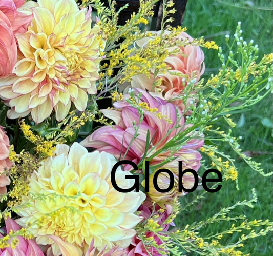 Bloomquist Globe
