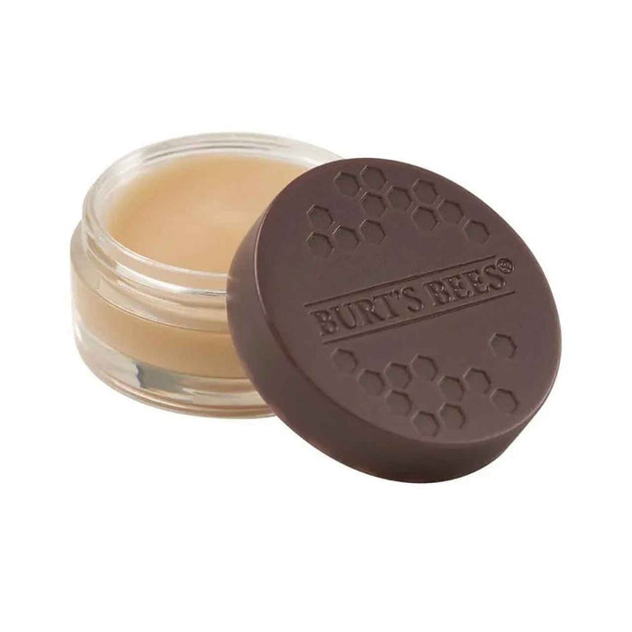 Burt's Bees Overnight Lip Treatment