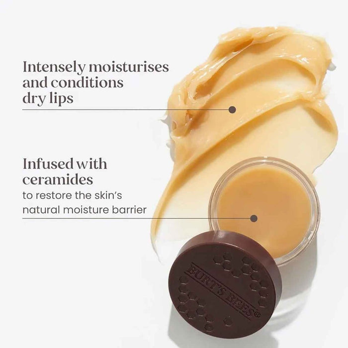 Burt's Bees Overnight Lip Treatment