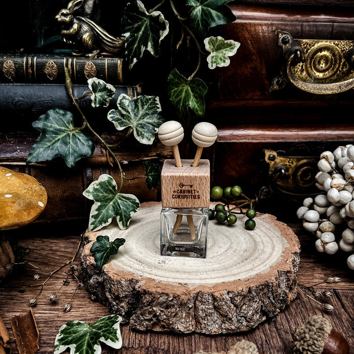 Car Fragrance Diffuser