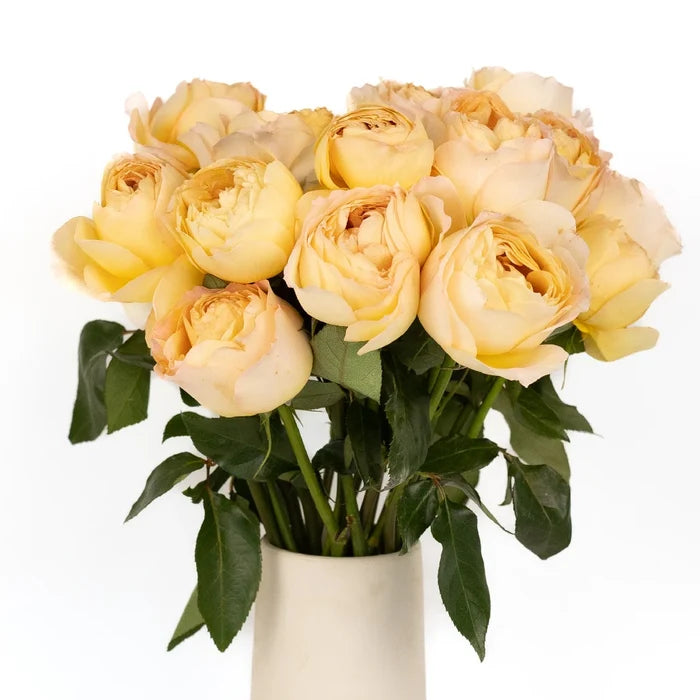 Caramel Antique Garden Rose Vase - Image