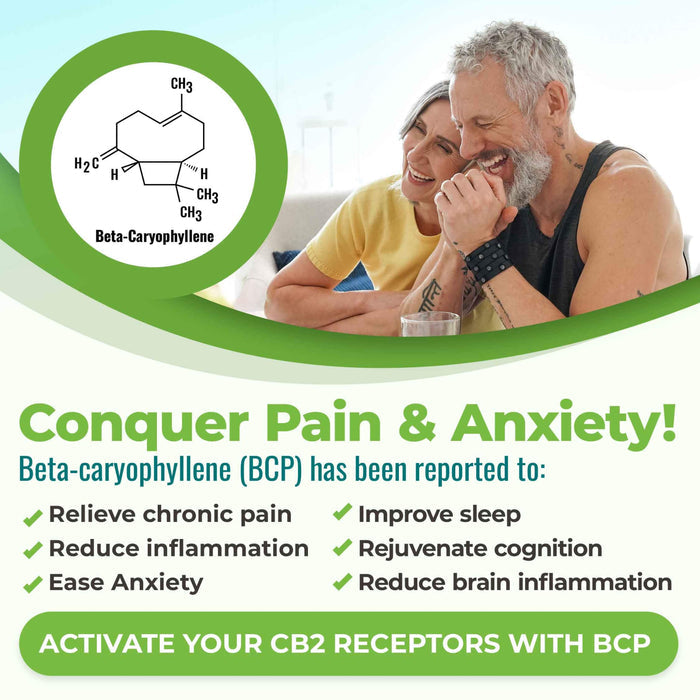Cannanda CB2 Hemp Seed Oil Unflavoured Information - Beta-Caryophyllene