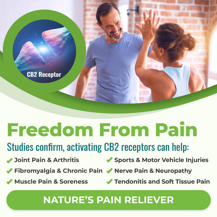 Cannanda CB2 Hemp Seed Oil Unflavoured Information - Pain
