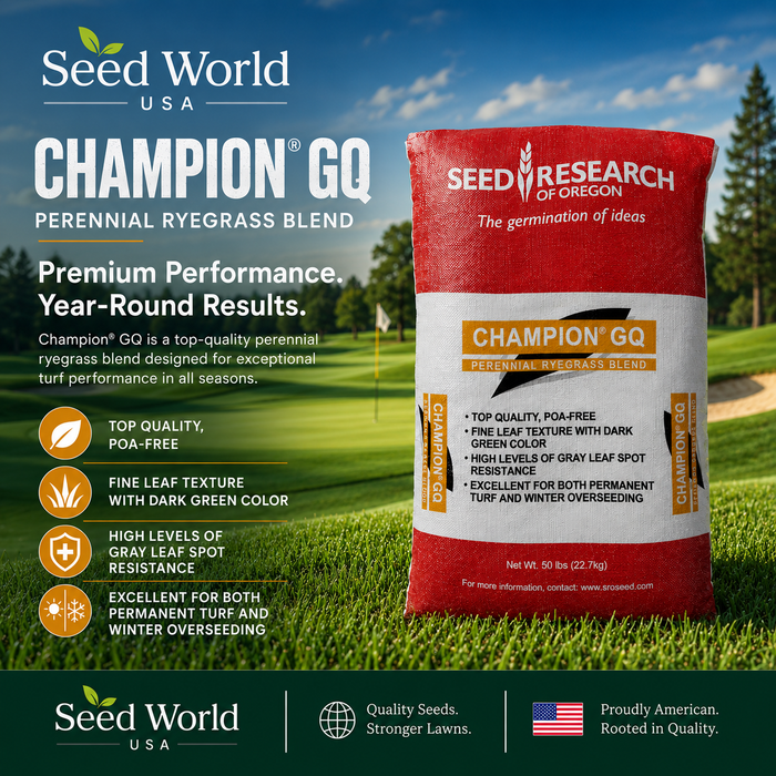 Champion GQ Perennial Ryegrass Seed - Seed World