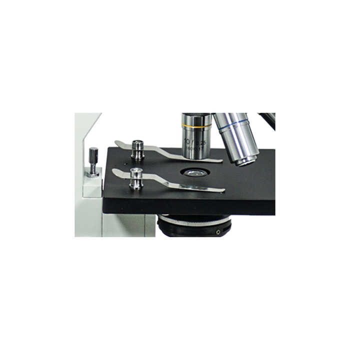 Clip (Pair), SKU BM05030121-0003, three quarter front view