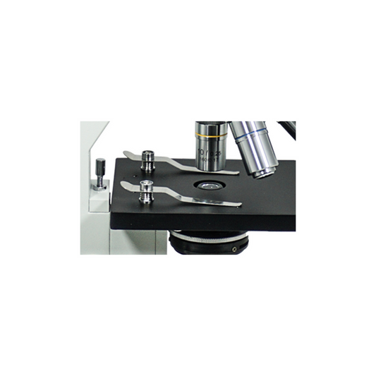 Clip (Pair), SKU BM05030121-0003, three quarter front view
