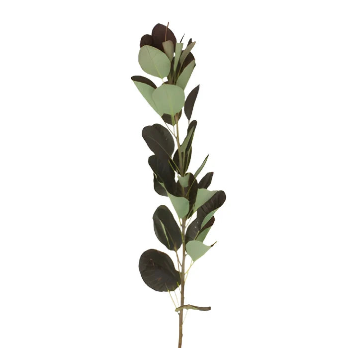 Cotinus Smoke Bush Wholesale Greenery Leaves