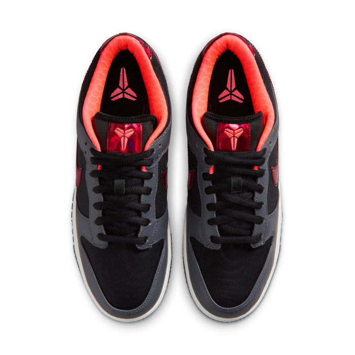 Dunk Low Protro - Black