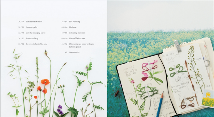 Embroidered Wild Flowers