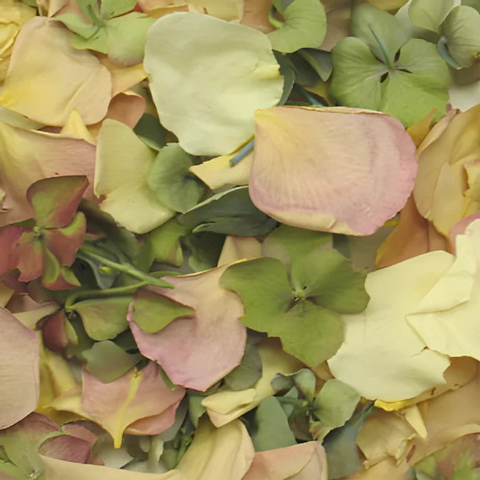 Fairytale Wedding Dried Rose Petals