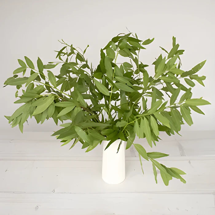 Bulk greenery fresh fall bay leaf filler flowers designed