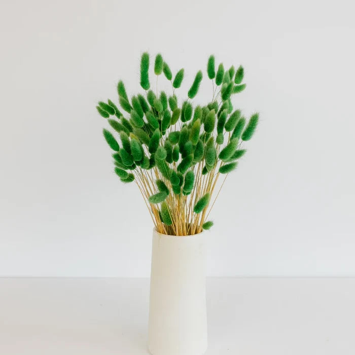 Green Dried Craspedia Bunny Tails Vase - Image