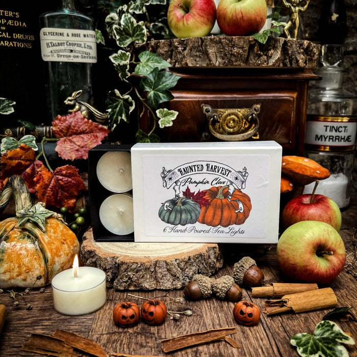 Haunted Harvest Scented Tea Lights - Pumpkin Clove