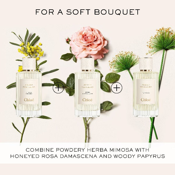 CHLOÉ ATELIER DES FLEURS Herba Mimosa EDP | Isetan KL Online Store