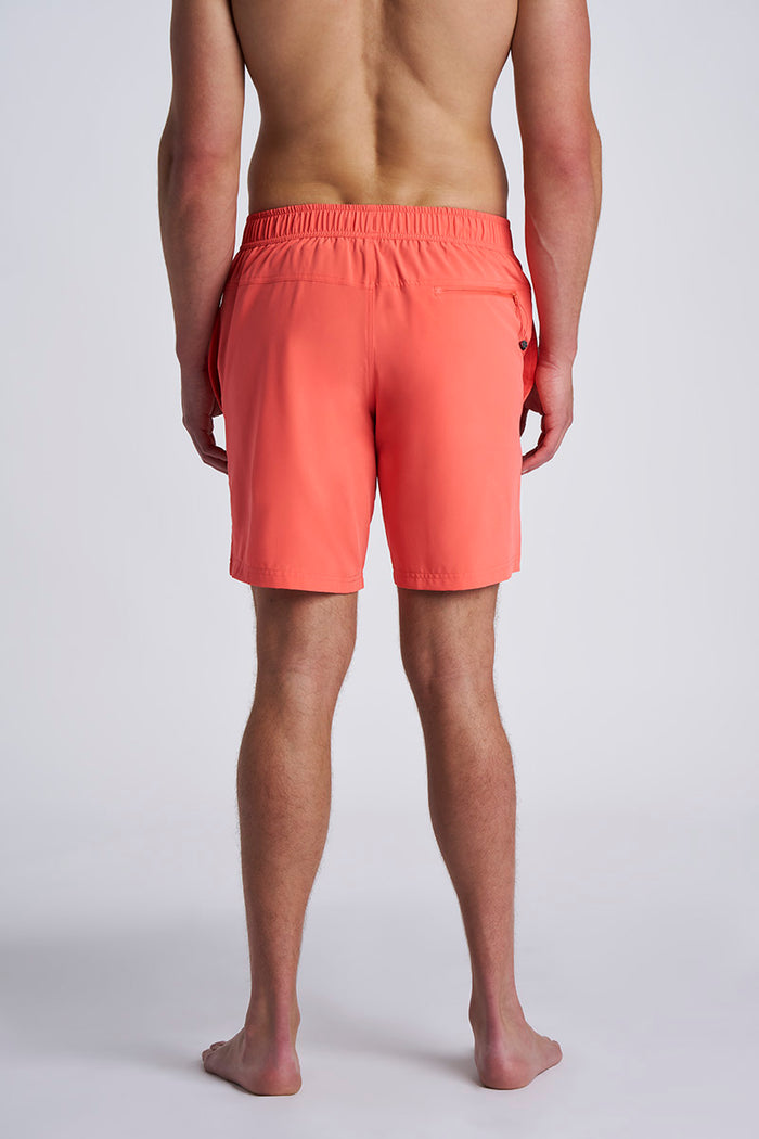 Color_Coral Reef