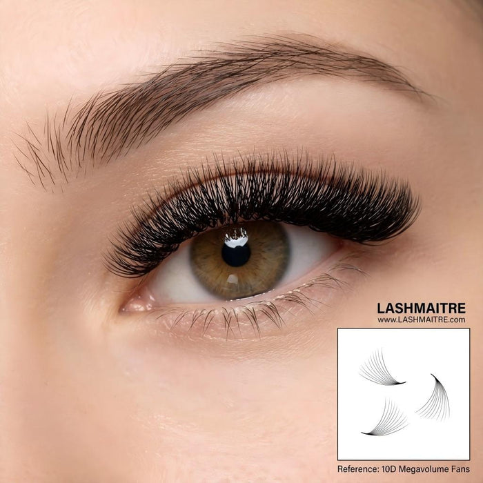LASHMAITRE 10D Loose Premade Fans - Pointy Base 500 Fans applied eye result