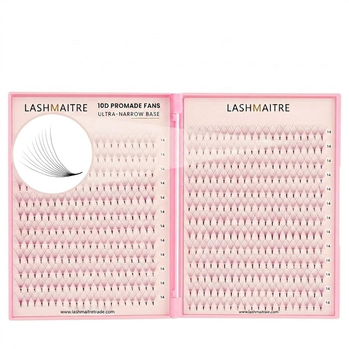 LASHMAITRE 10D Promade Fans Tray - 500 Fans main product image