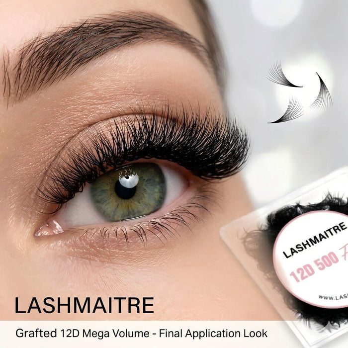 LASHMAITRE 12D Loose Premade Fans - Pointy Base 500 Fans applied eye result