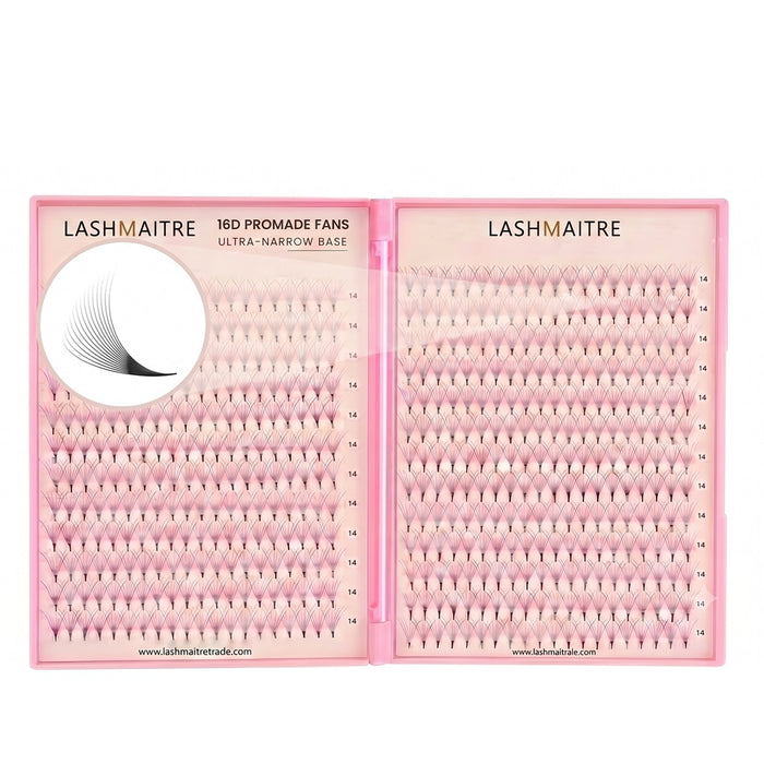 LASHMAITRE 16D Promade Fans Tray - 500 Fans main product image