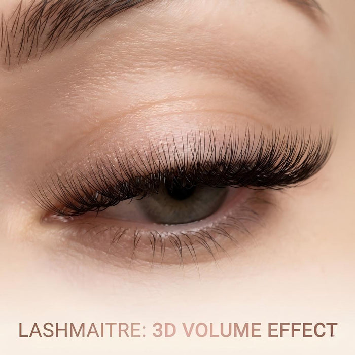 LASHMAITRE 3D 0.07mm Loose Premade Fans - 500 Fans applied eye result