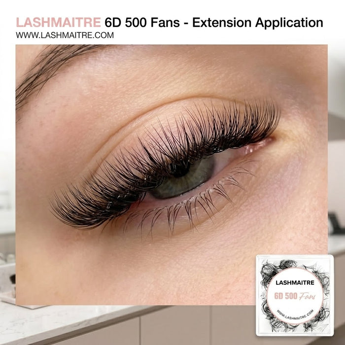 LASHMAITRE 6D Loose Premade Fans - Pointy Base 500 Fans applied eye result