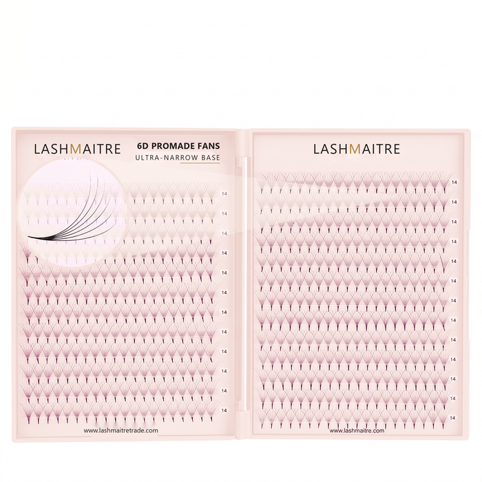 LASHMAITRE 6D Promade Fans Tray - 500 Fans main product image
