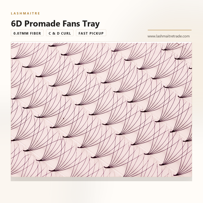LASHMAITRE 6D Promade Fans Tray - 500 Fans ultra-narrow base fan detail