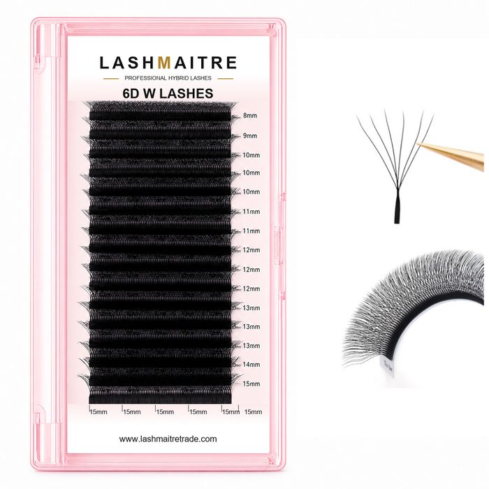 LASHMAITRE W Shape 6D Premade Volume Fan Lashes main product image with white backing card
