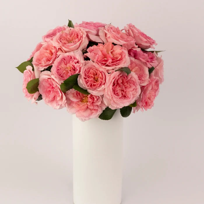 Mayra Queen Pink Garden Rose Vase - Image