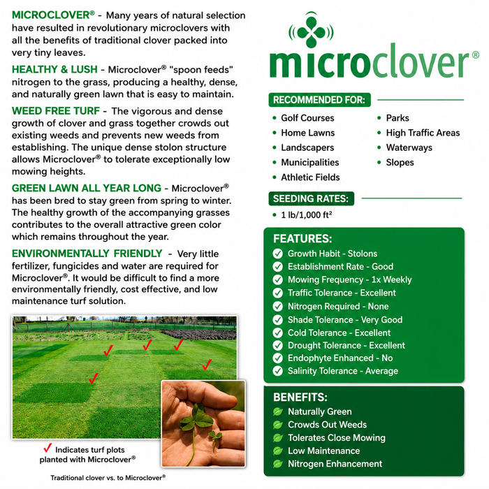 Micro Clover Seed Coated & Inoculated - Seed World